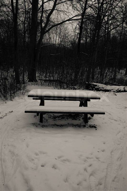 Snow covered bench in a forest, stock photo