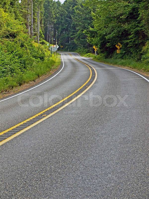 Curved Two Lane Country Road Winding Through a Forest, stock photo