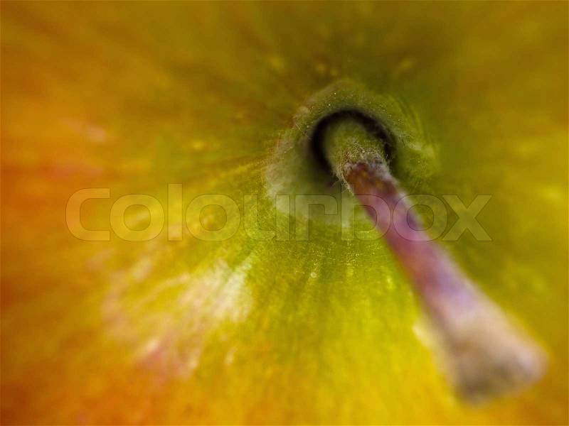 Closeup macro of an apple and stem, stock photo