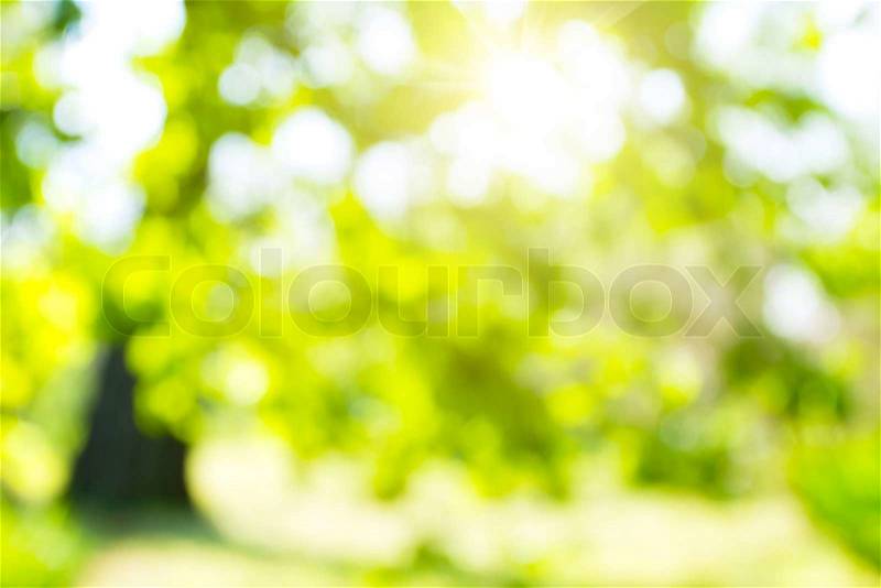 Abstract nature background, stock photo
