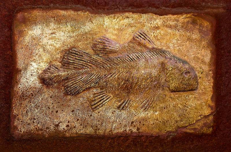 The Model fossil of ancient fish, stock photo