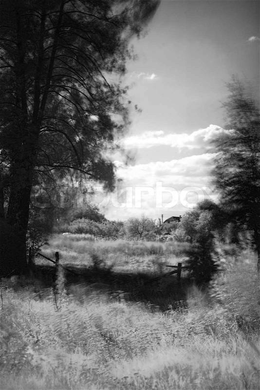 Infrared Abstract landscape, infrared shot, stock photo