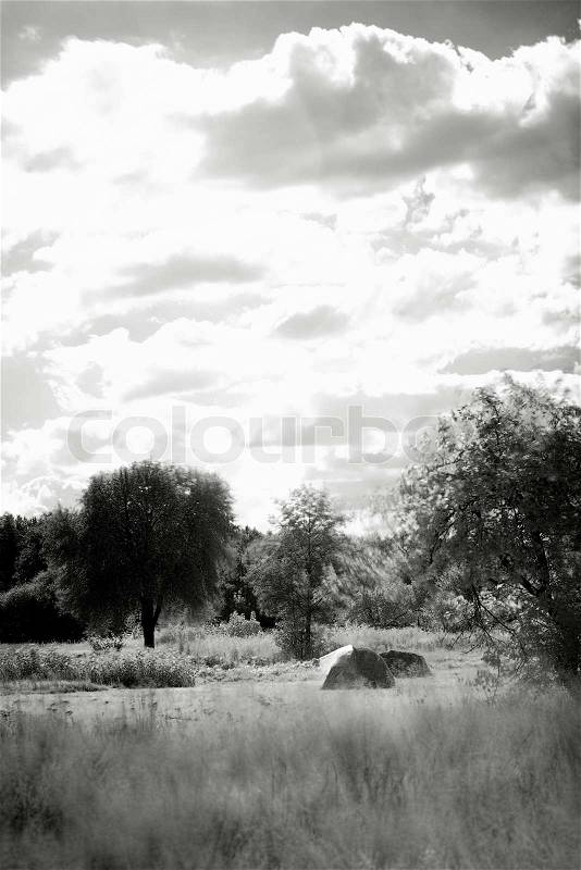 Infrared Abstract landscape, infrared shot, stock photo