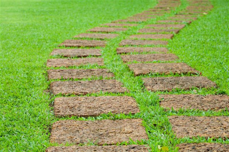 Garden stone path with grass, stock photo