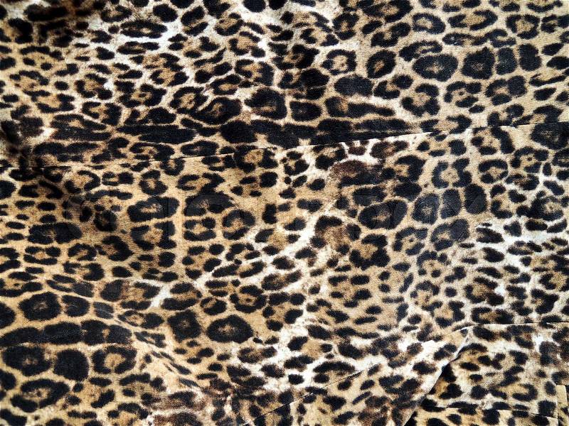 Leopard skin background, stock photo