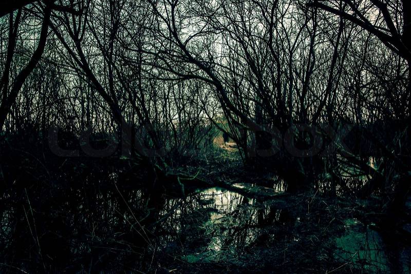 https://www.colourbox.com/preview/6068302-spooky-swamp-with-dark-trees.jpg