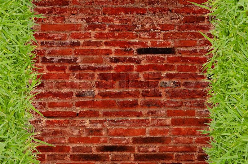 Green grass and brick wall background, stock photo