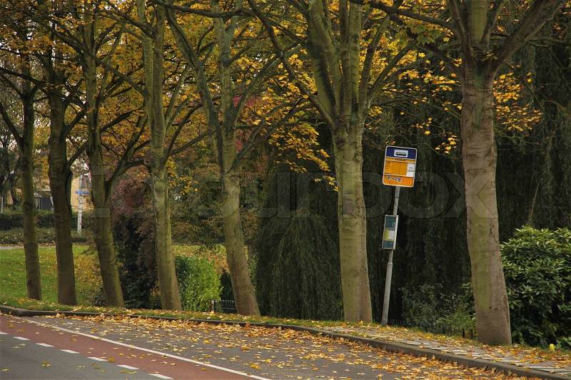 Bus stop, trees with wonderful leaves in colours like red and yellow in fall, stock photo