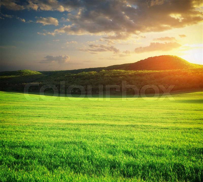 Green meadow in mountain. Composition of nature, stock photo
