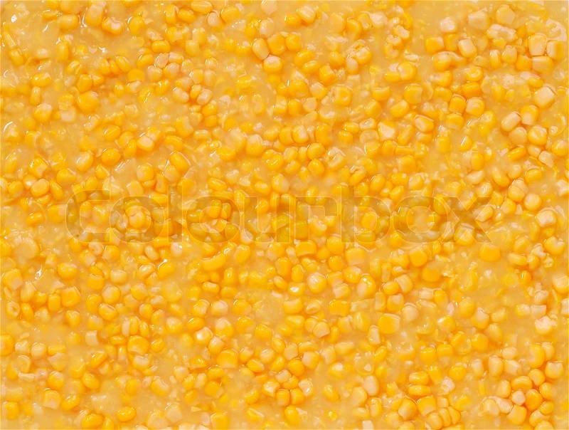 Group of canned corn for background, stock photo