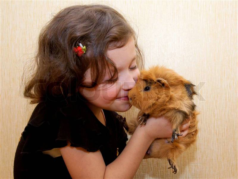 The little girl kissing the guinea pig. Love for animals concept, stock photo
