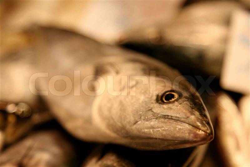 Close-up on fish head sold at market, stock photo