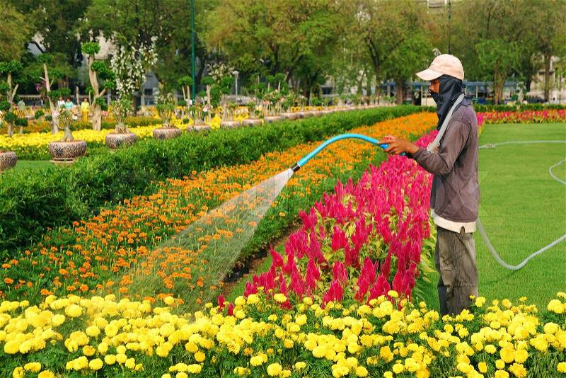 Florist man working with flowers at a greenhouse, stock photo
