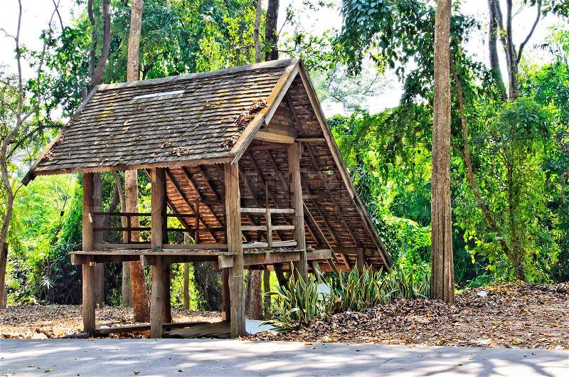 Old cottage in thailand forest, stock photo