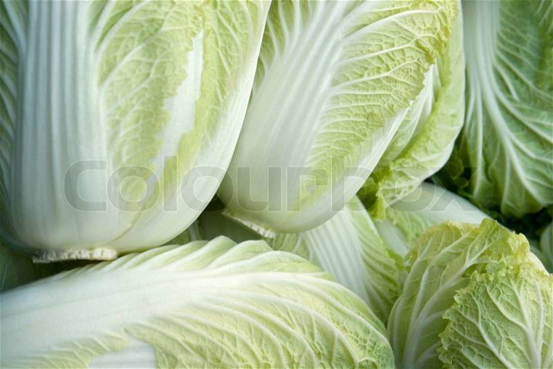 Full frame background with fresh lettuce detail, stock photo
