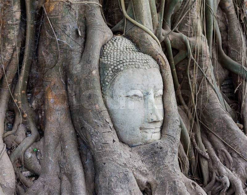Head of Sandstone Buddha in The Tree Roots at Wat Mahathat, Ayutthaya, Thailand, stock photo