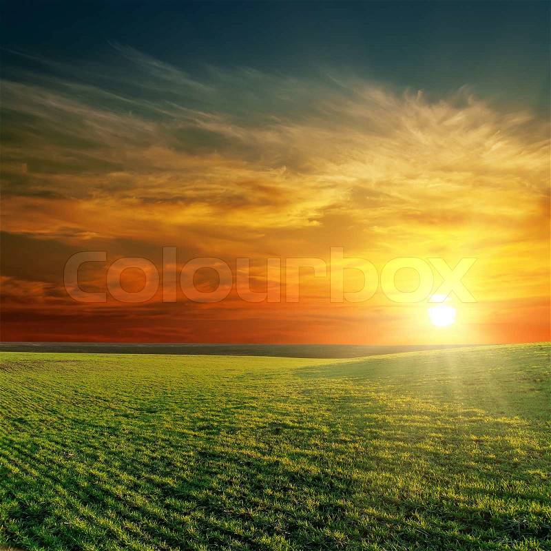 Good sunset over green field, stock photo