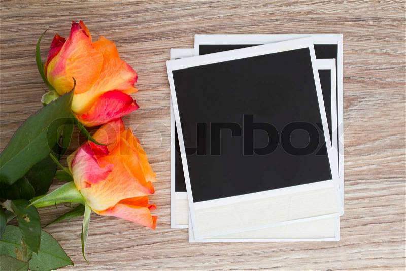 Pile of instant photo with two roses, stock photo