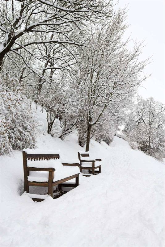 Forest park with benches covered in heavy snow, stock photo