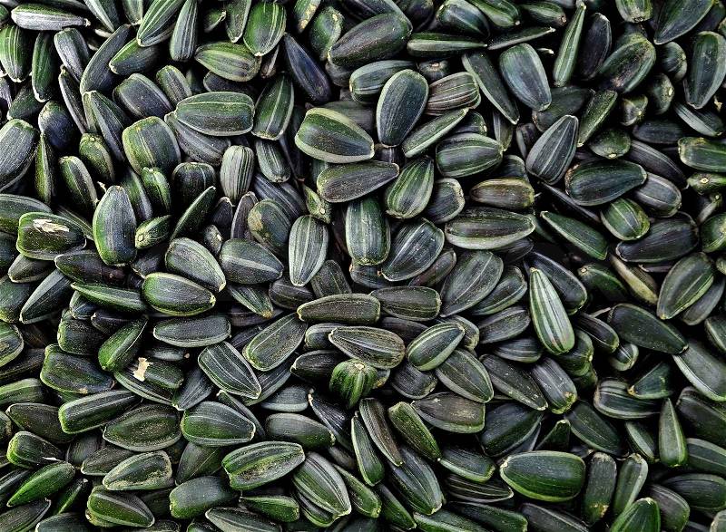 Dry sunflower\'d seeds, it is possible to be background, stock photo