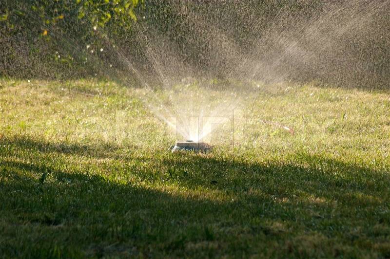 Sprinkler of automatic watering on a green grass, stock photo
