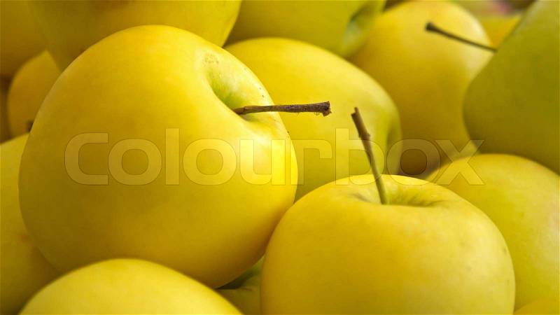 Lots of Yellow ripe apples background, stock photo