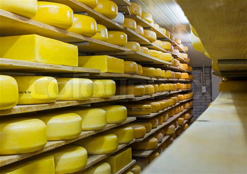 Cheese factory in holland with different kinds, stock photo