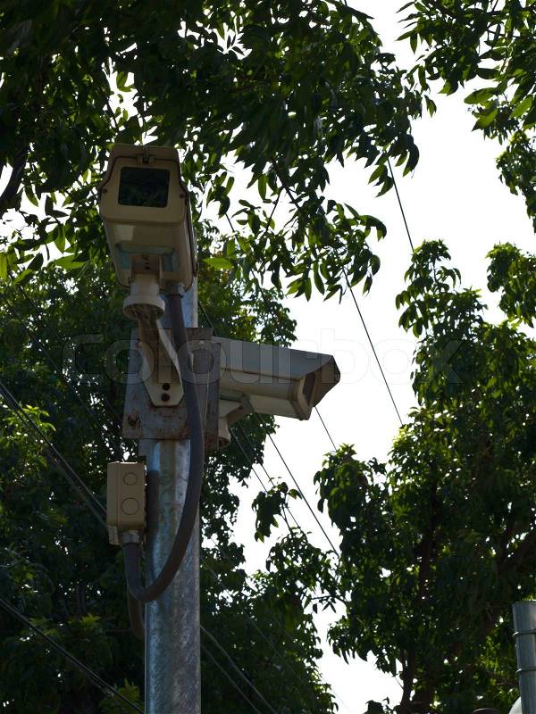 A hidden security camera or CCTV in green park, stock photo