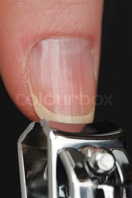 A close-up of a thumb nail being cut with a nail clipper, stock photo