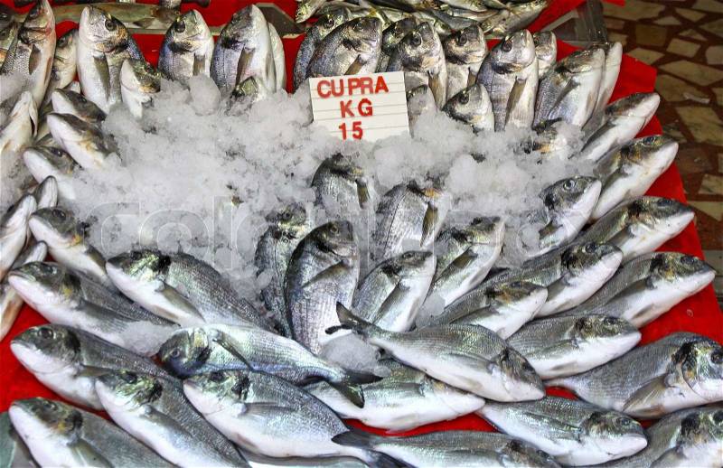 Snapper fish in ice on a market stall in Istanbul, Turkey, stock photo