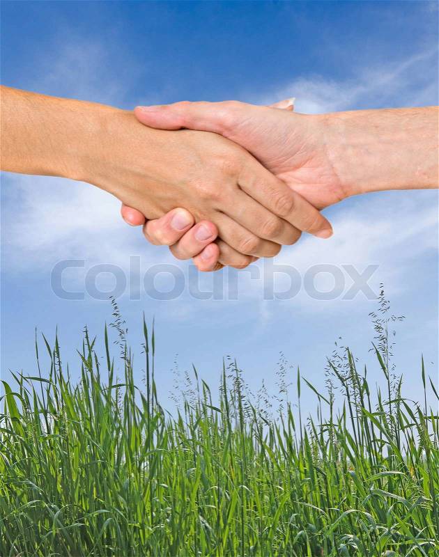 Man and woman handshaking, stock photo
