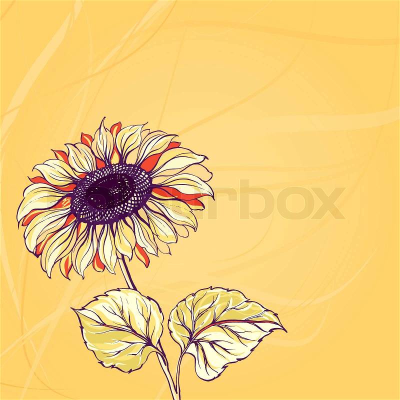 Illustration of sunflower. Illustration, stock photo