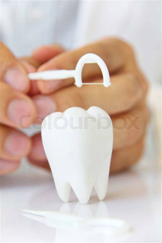 Dentist holding dental floss with molar, flossing teeth concept, stock photo