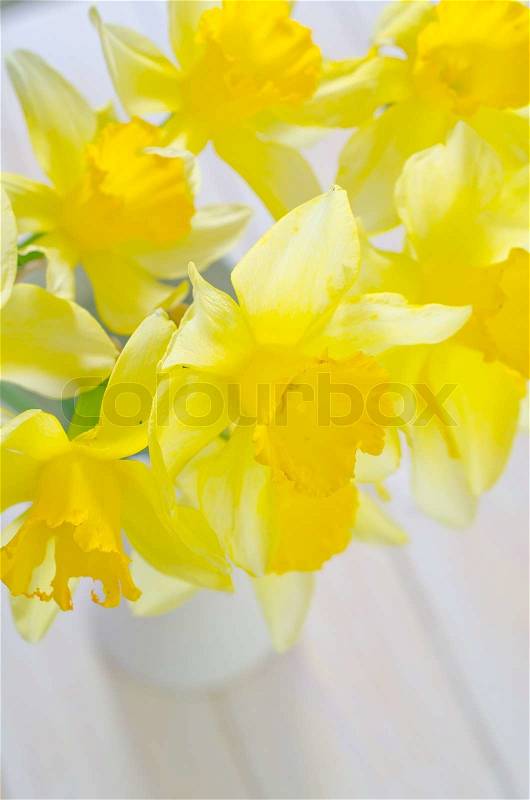 Yellow flowers, stock photo