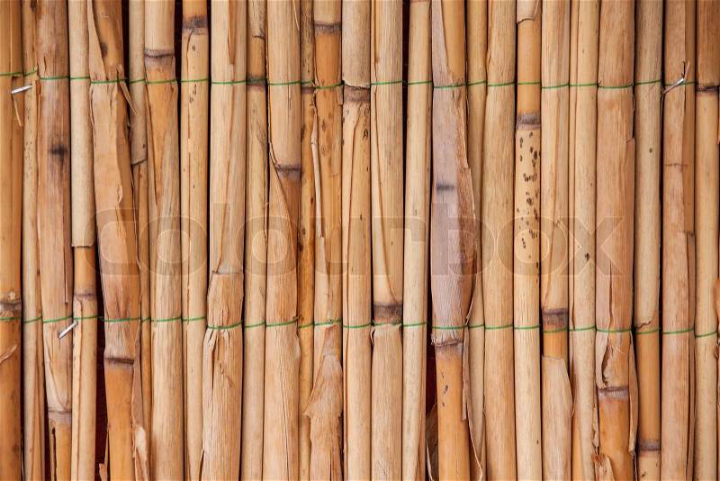 Japanese bamboo texture for background. Bamboo wall, stock photo