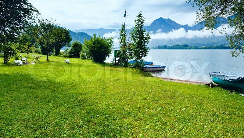 Wolfgangsee summer lake cloudy view Austria and two swans on shore, stock photo
