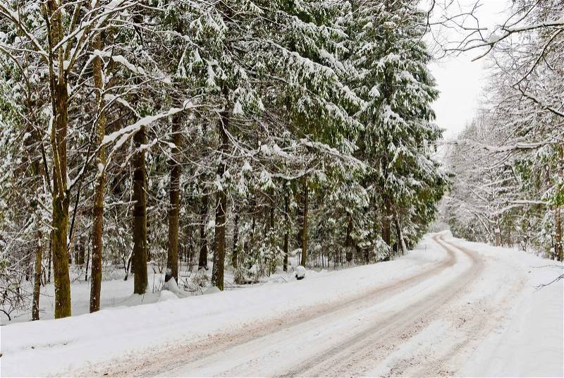 Road in a winter snow-covered wood, stock photo