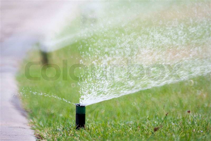 Sprinkler head watering the grass, stock photo