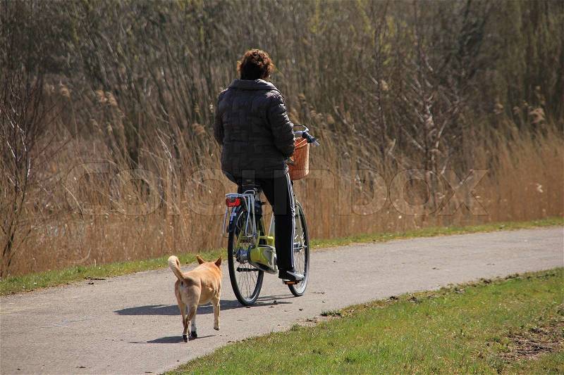 Biking with the dog, stock photo