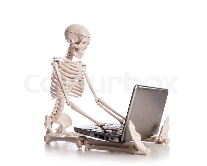6550078-skeleton-working-on-laptop.jpg