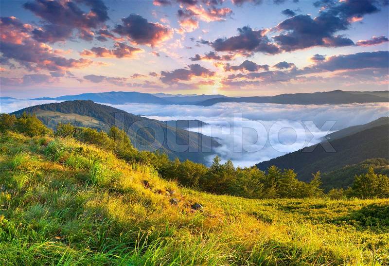 Beautiful summer landscape in the mountains. Sunrise, stock photo