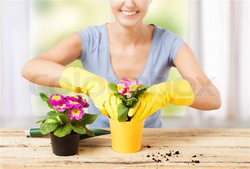 Lovely housewife with flower in pot and gardening set, stock photo