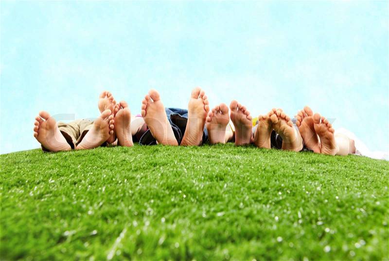 Image of several legs lying on the grass and resting , stock photo