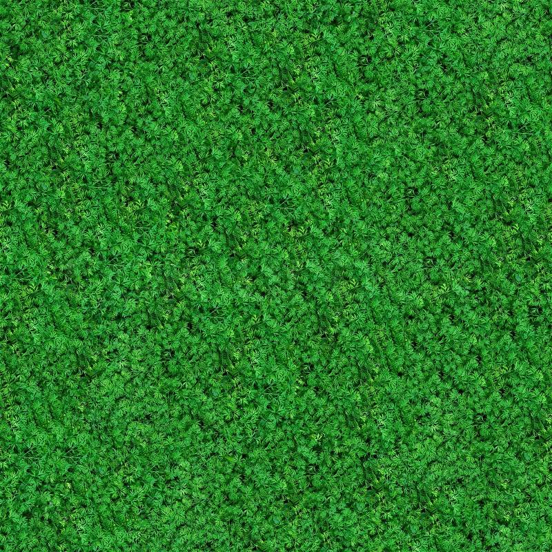 Seamless Texture Green Meadow Grass, stock photo