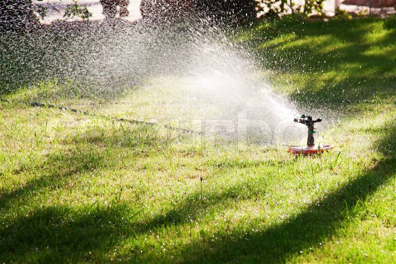 Lawn sprinkler watering the grass. Water drops in the sunlight, stock photo