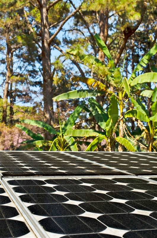 Solar panel at Doi Pui mountain, chiang mai ,thailand, stock photo