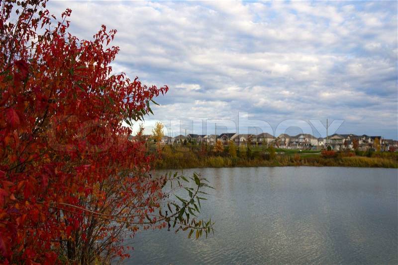 Colorful autumn trees in a suburb area, stock photo