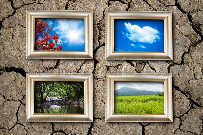 Gold color picture frame and tree photo on the crack soil background, stock photo