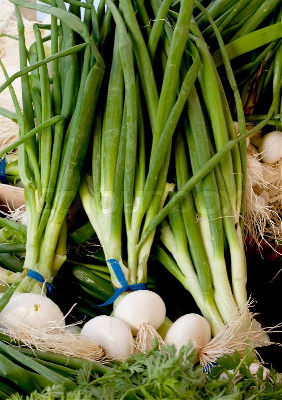 A neat row of spring onions for sale at the market. , stock photo