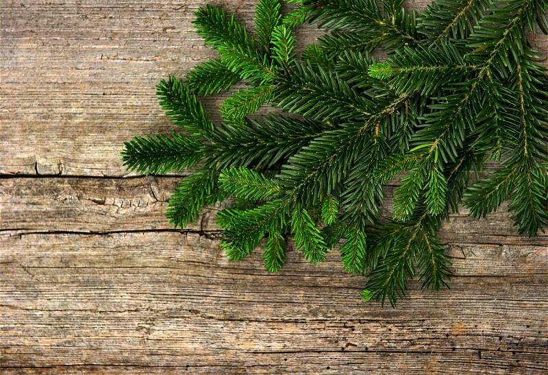 Green fresh fir tree branch on rustic wooden background 